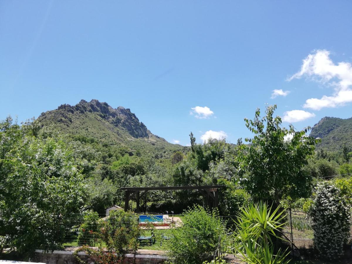 Casa Rural La Maquinilla Грасалема Екстериор снимка