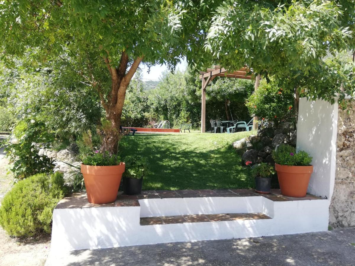 Casa Rural La Maquinilla Грасалема Екстериор снимка