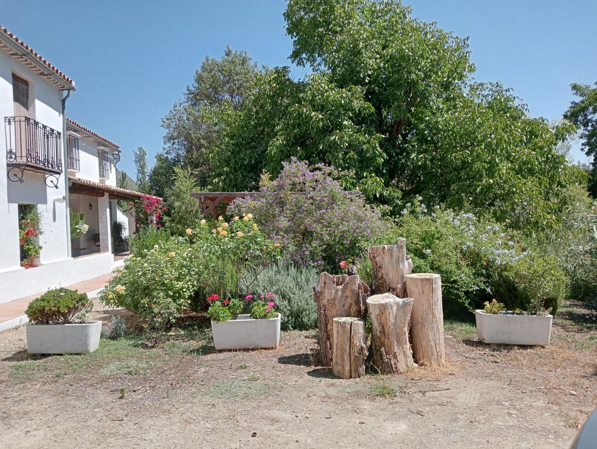 Casa Rural La Maquinilla Грасалема Екстериор снимка