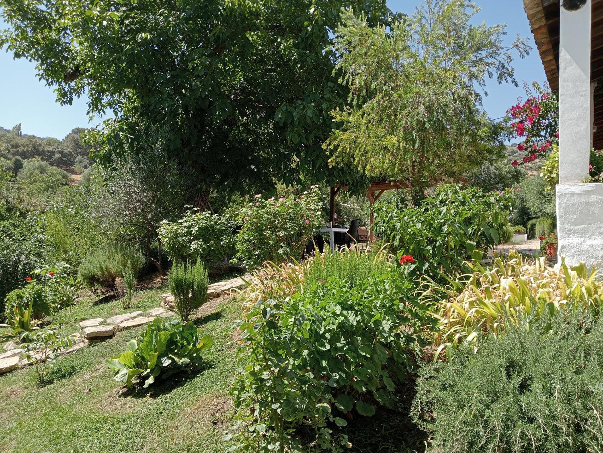 Casa Rural La Maquinilla Грасалема Екстериор снимка