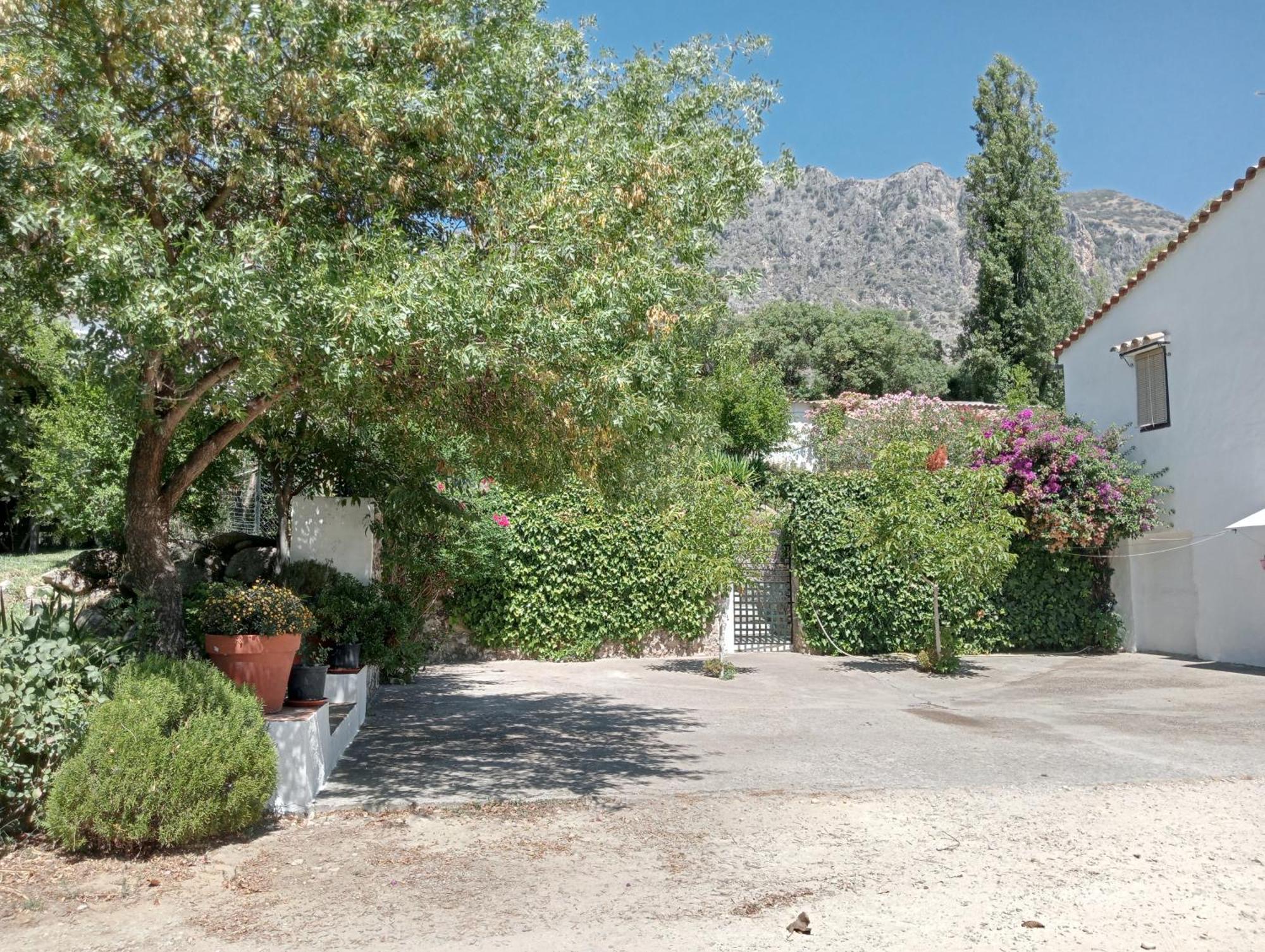 Casa Rural La Maquinilla Грасалема Екстериор снимка