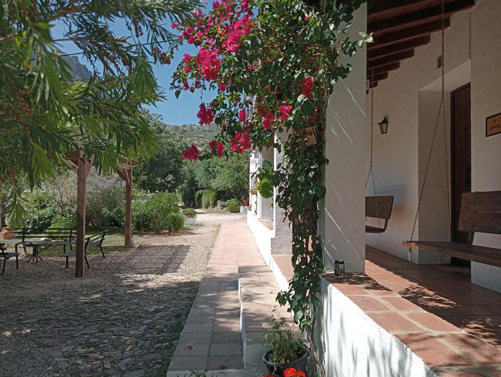 Casa Rural La Maquinilla Грасалема Екстериор снимка