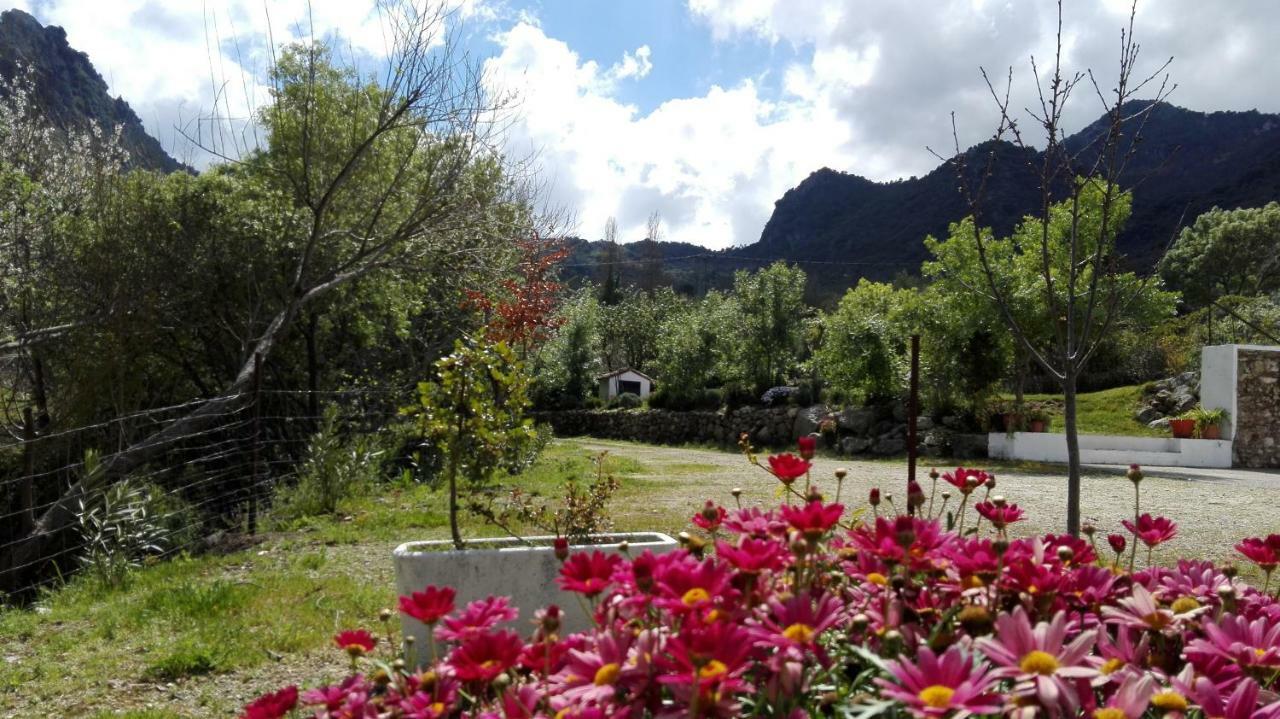 Casa Rural La Maquinilla Грасалема Екстериор снимка