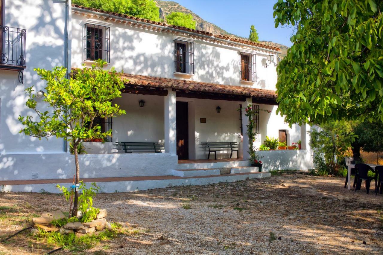 Casa Rural La Maquinilla Грасалема Екстериор снимка