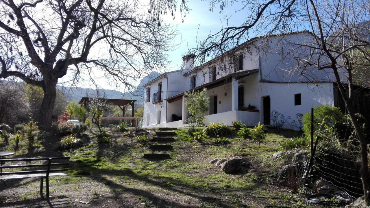 Casa Rural La Maquinilla Грасалема Екстериор снимка