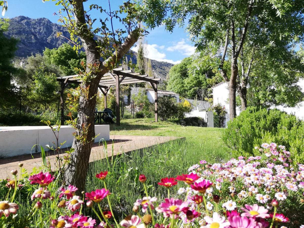 Casa Rural La Maquinilla Грасалема Екстериор снимка